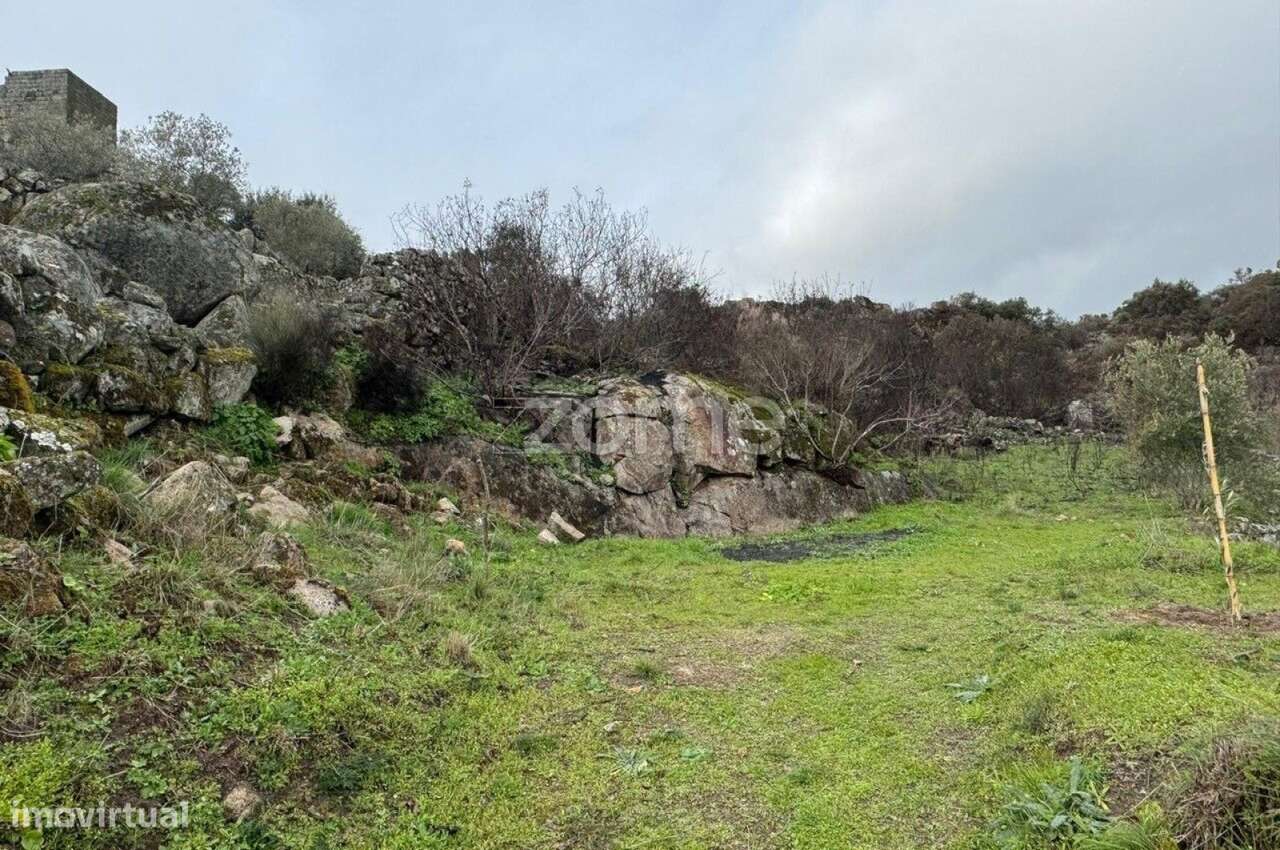 Terreno Rustico em Marialva- Guarda - Grande imagem: 2/15