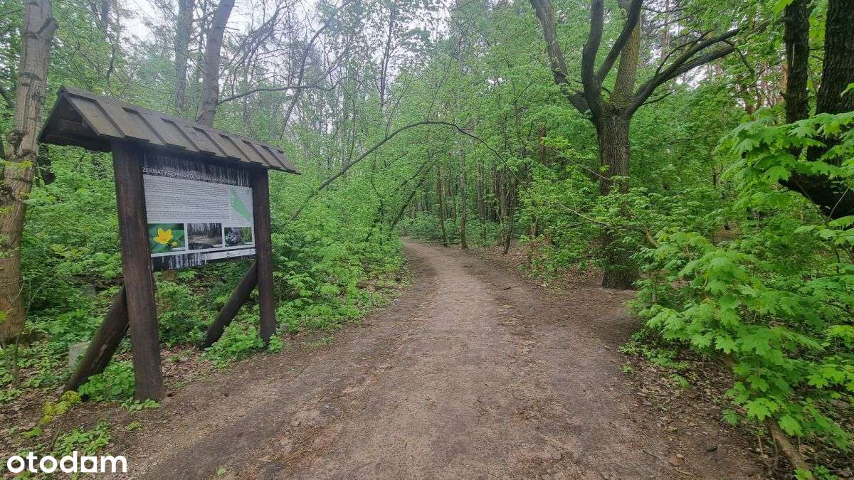Przestronne 3M obok rezerwatu przyrody , 2023 !-19