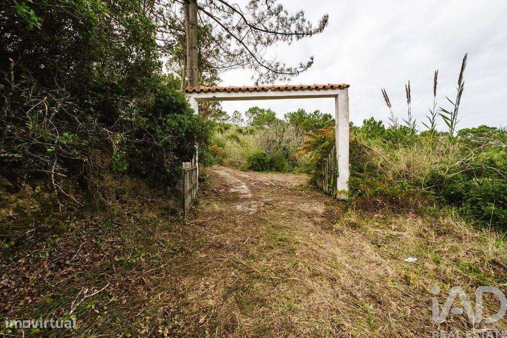 Terreno misto em Foz do Arelho - Grande imagem: 4/23