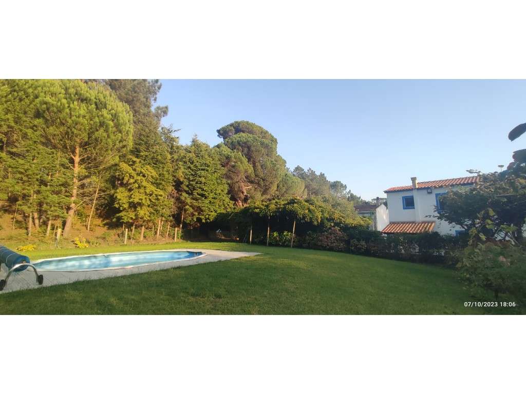 Quinta com duas moradias, anexos, diversas arvores de fruto, vinha ...-46