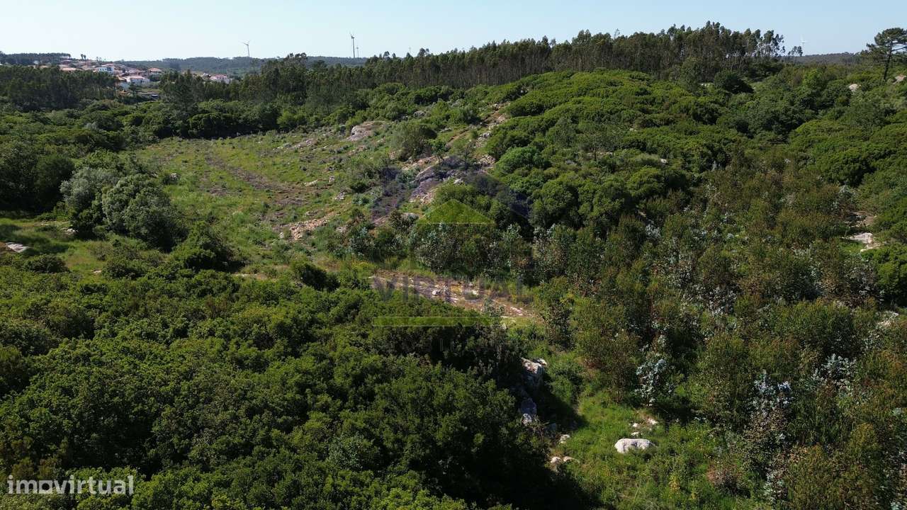 Terreno Rústico c/ 16.520 m2 Reguengo Pequeno - Lourinhã-8