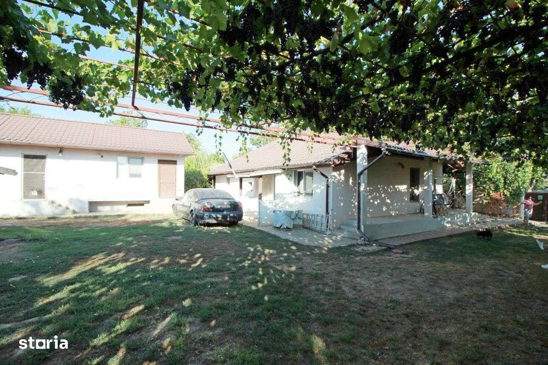 Casa La Tara  - 2700MP - Tichilesti Constanta - Vita De Vie - Pomi Fru - Imagine principală: 5/19