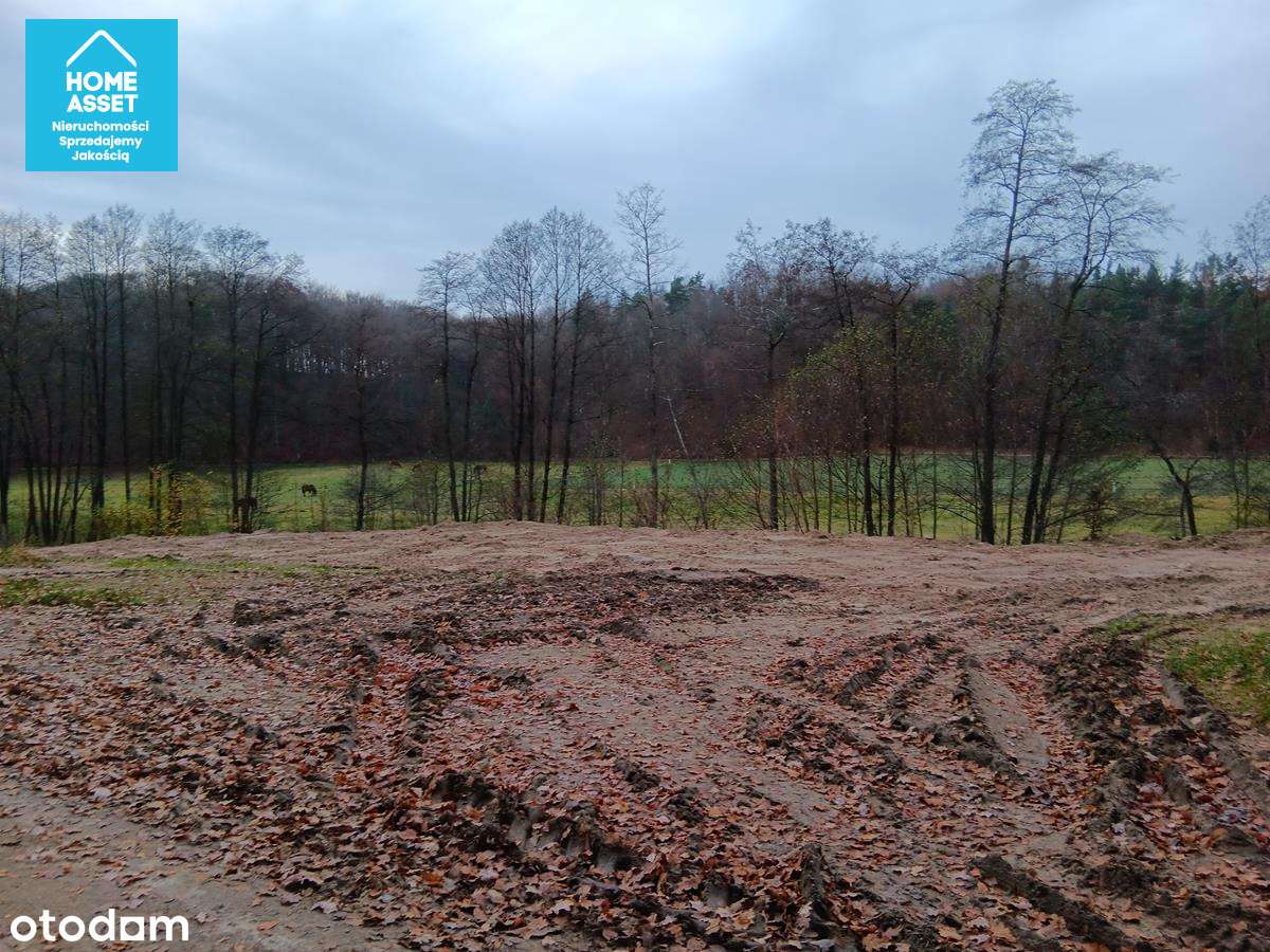 Zaciszna działka budowlana Kaszuby • 1021 m²-10