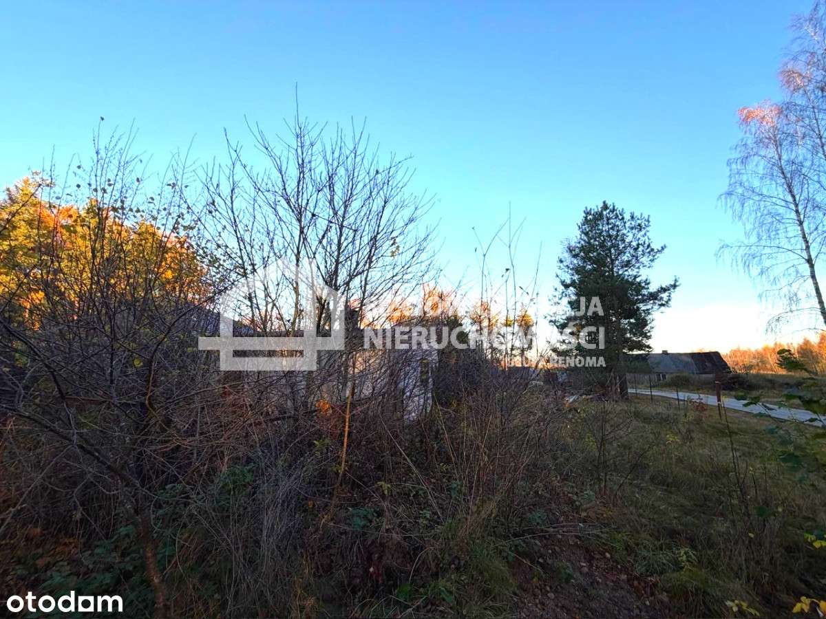 Przodkowo Kawle Dolne działka na sprzedaż. - Pełny obrazek: 5/5