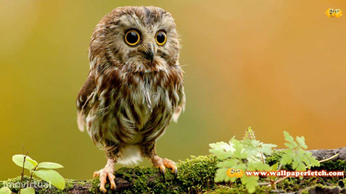 Quarto - localizado em Baixa Lisbon - Grande imagem: 4/8