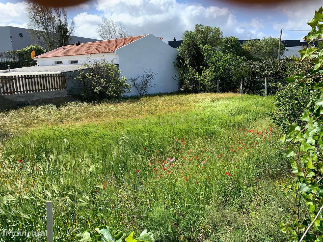 Terreno em Cabeço de Mouro - Grande imagem: 2/8