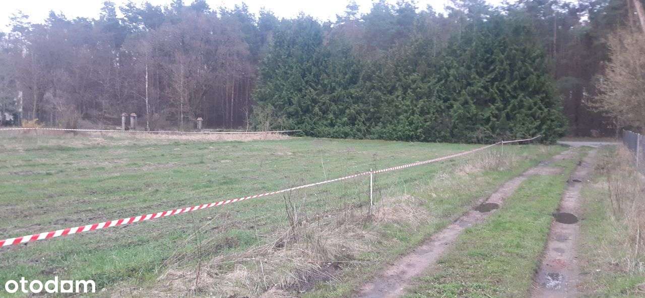 Działka budowlana na sprzedaż - Aleksandrów Łódzki - Pełny obrazek: 4/9