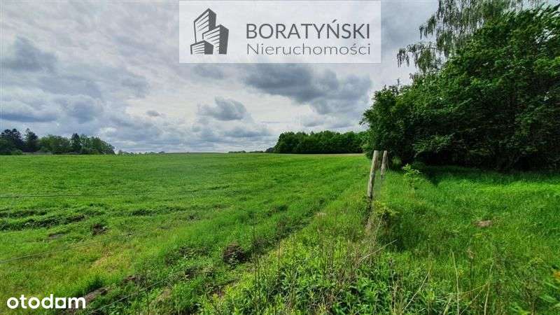 Działka budowlana - Golica - Pełny obrazek: 4/4