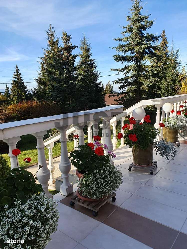 Cabana din Beliș — locul pe care îl căutai. Apuseni!-13