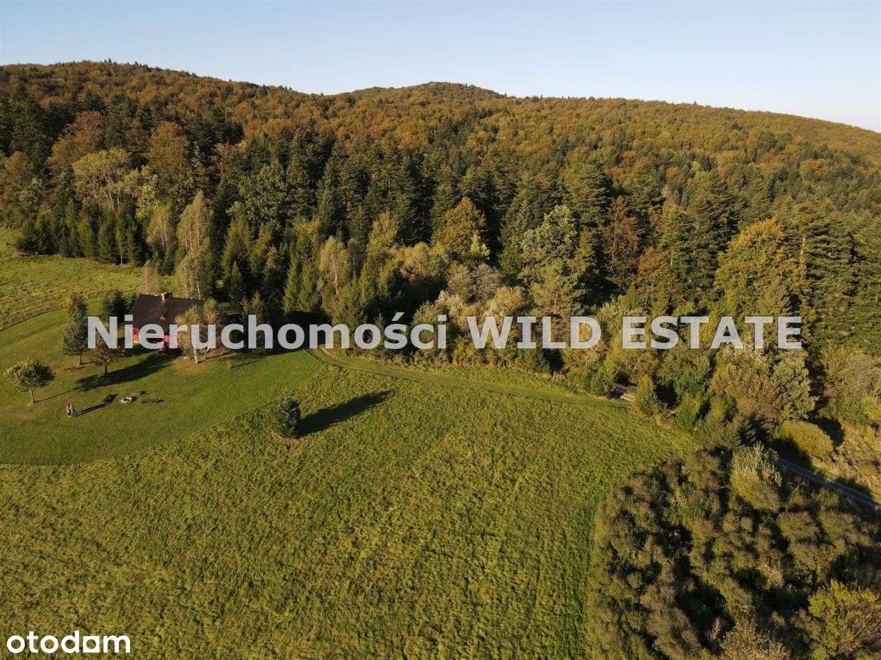 Dom, 150 m², Ustrzyki Dolne