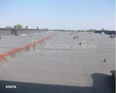 Complex industrial 30130  mp construit - Teren 42558 mp-16