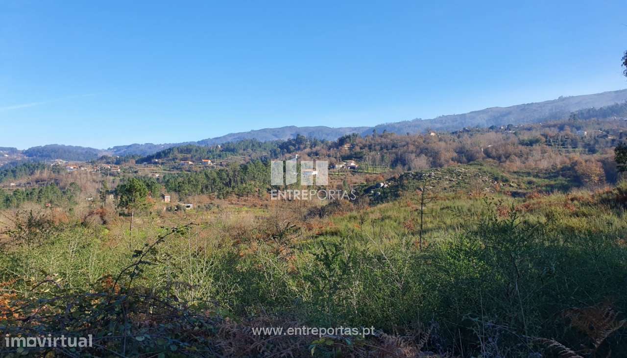 Venda Terreno, Várzea de Ovelha e Aliviada, Marco de Canaveses - Grande imagem: 4/30