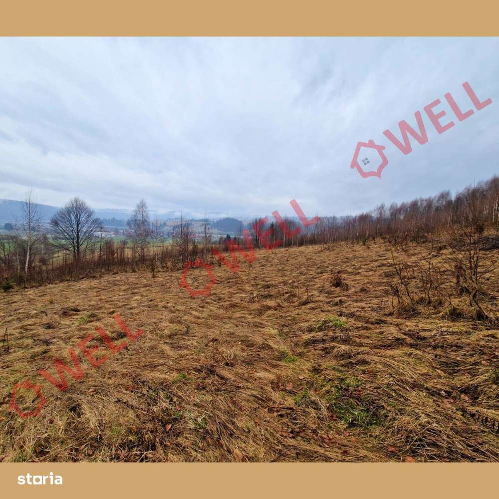 De vânzare teren extravilan în Vama Buzăului! - Imagine principală: 2/4