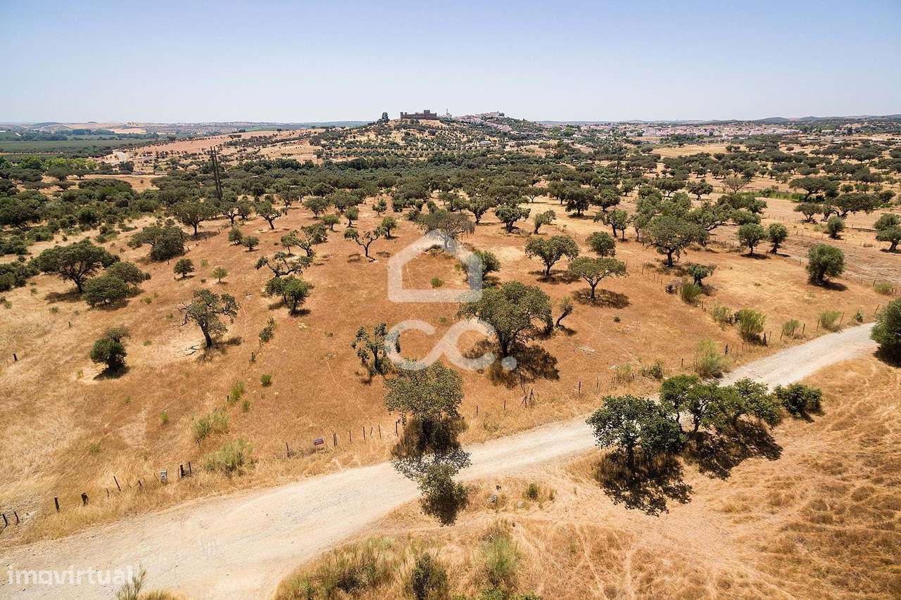 Terreno de 8000m2 junto à Barragem de Lucefécit | Terena (Alandroal) - Grande imagem: 3/13