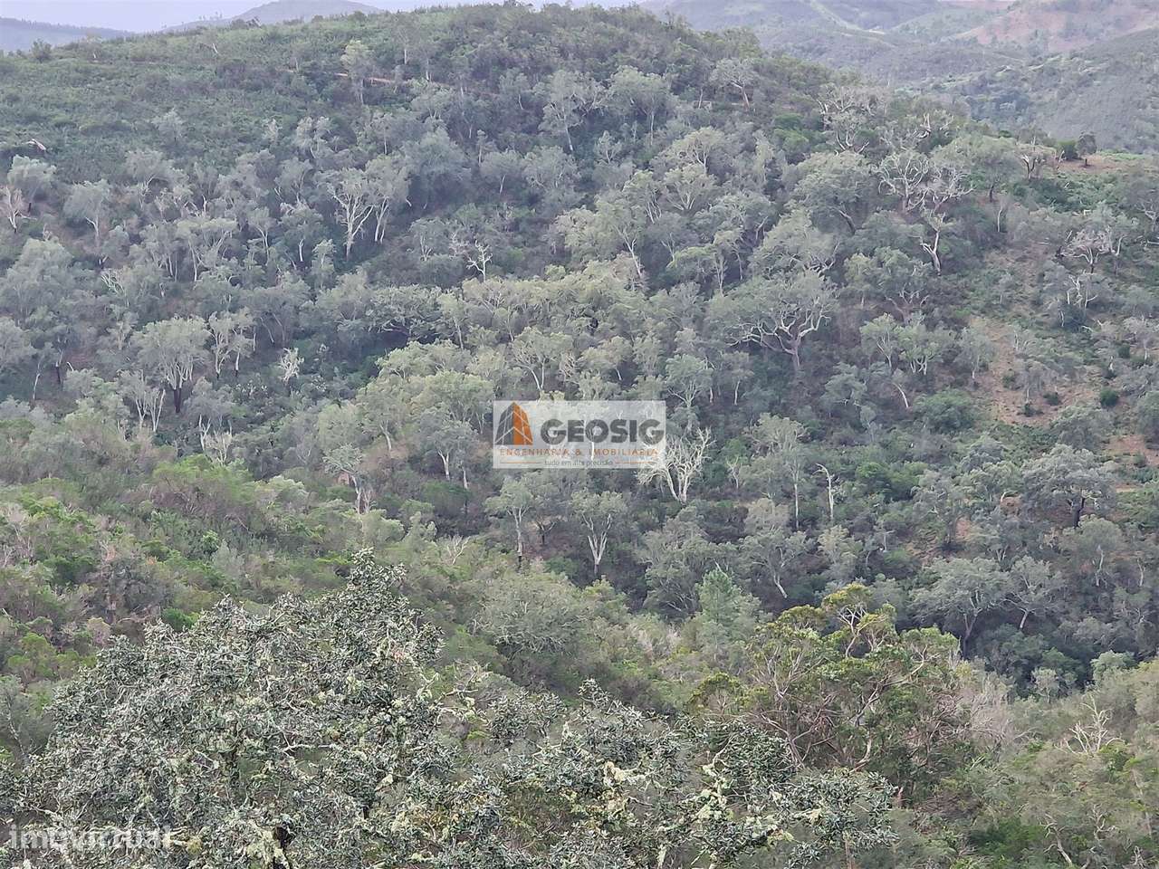 Terreno Rústico  Venda em Santana da Serra,Ourique - Grande imagem: 4/8