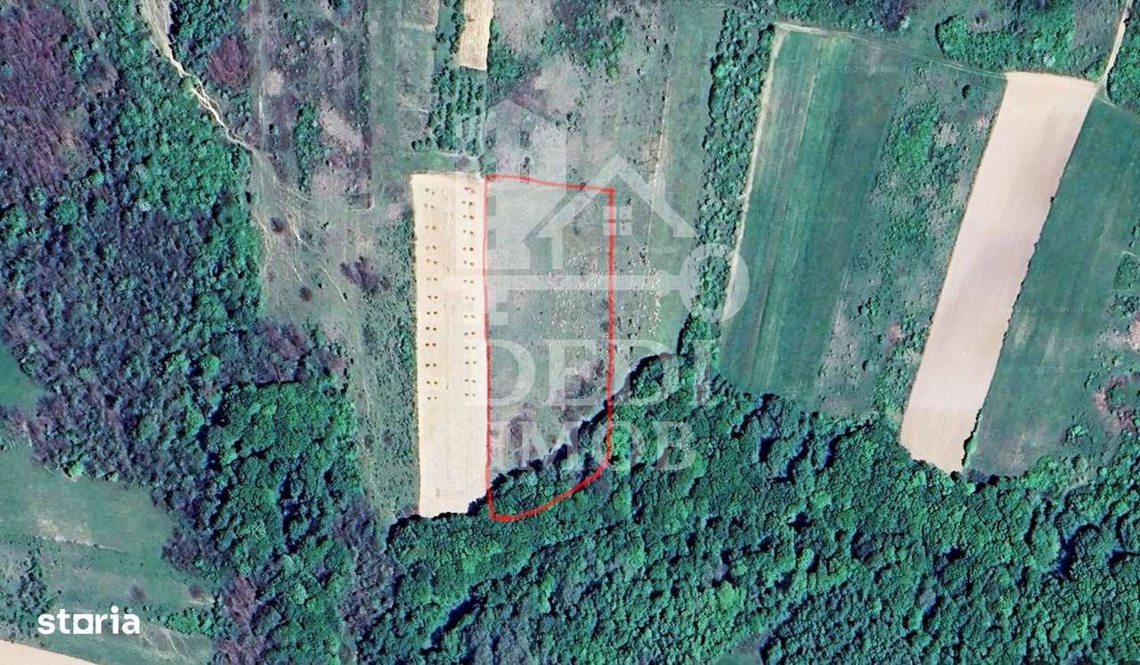 Teren 1 EURO/mp de vanzare in Tileagd-Balaia, Bihor - Imagine principală: 1/3