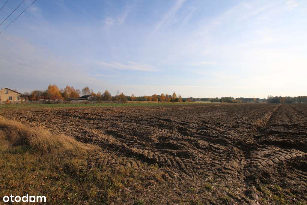 Działka rolno budowlana 65ar Sobolew Kol g. Firlej - Pełny obrazek: 5/15
