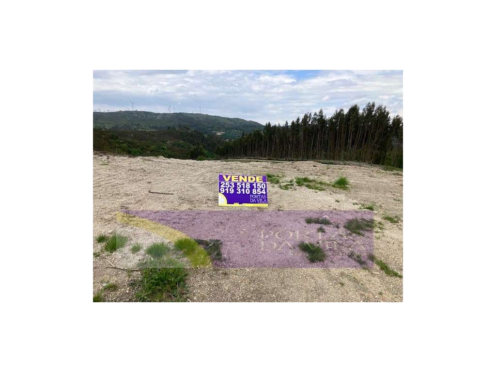 Terreno, Celorico de Bastos-7