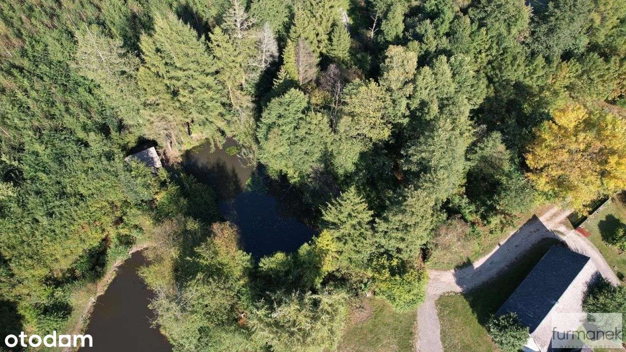 Działka rekreacyjna z domkiem letniskowym i stawem - Pełny obrazek: 5/18