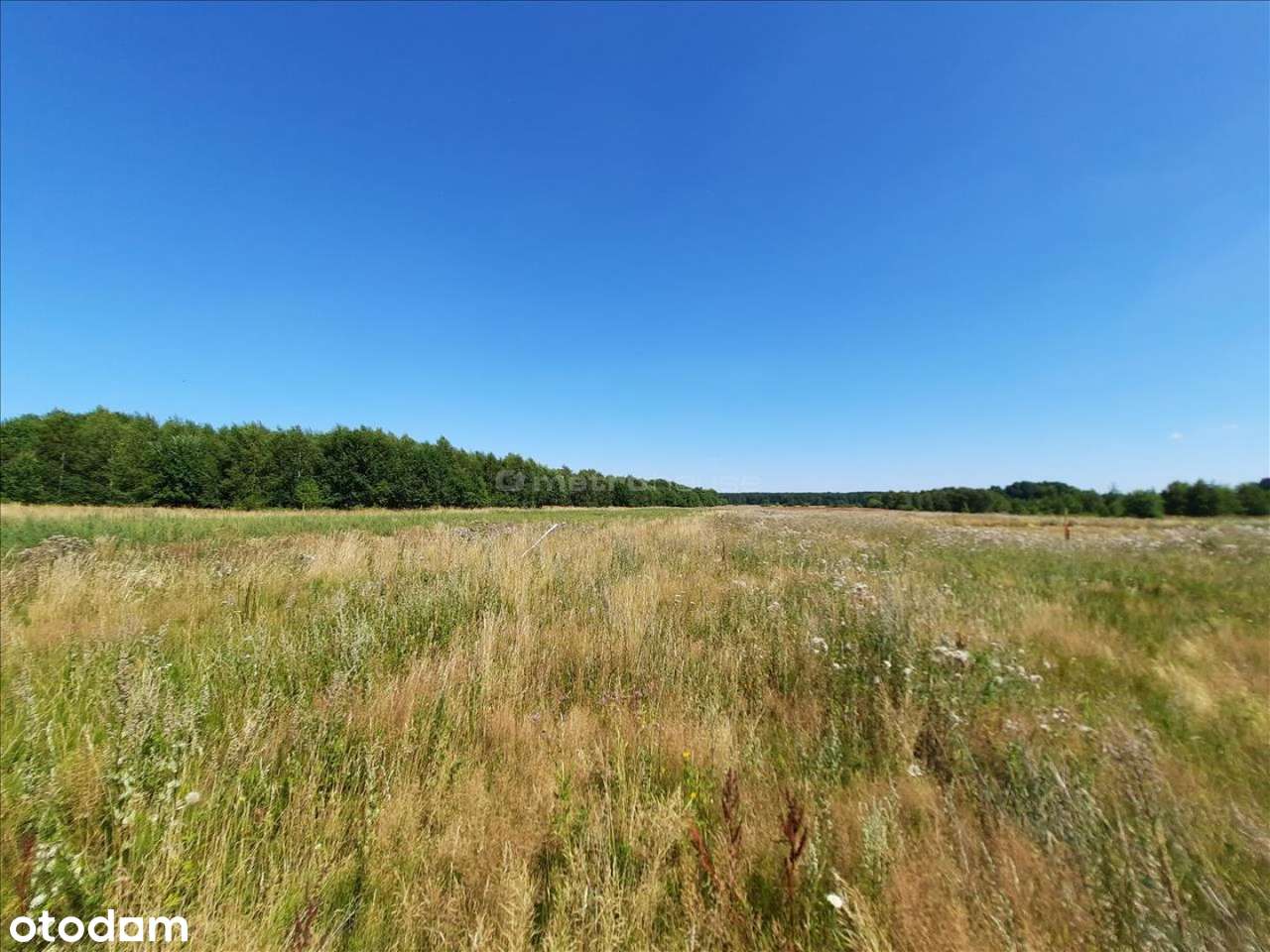 Działka 11 a, blisko jeziora Jamno. - Pełny obrazek: 3/11