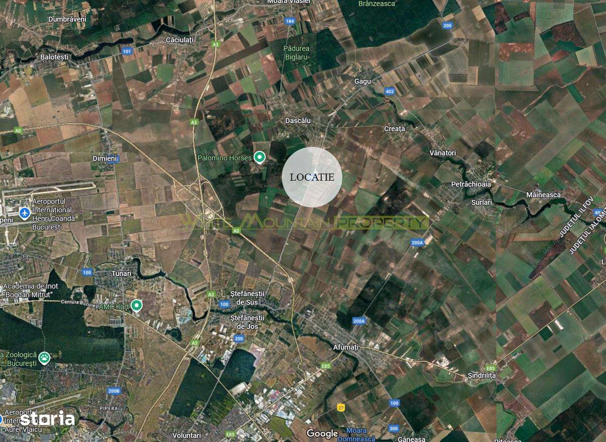 Dascalu, Ilfov, 2 ha teren de vanzare - Imagine principală: 1/3