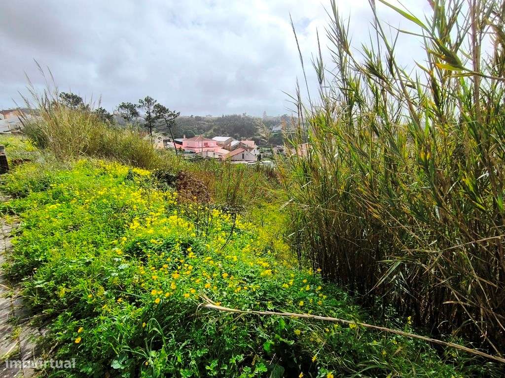 ERICEIRA - FONTE BOA DOS NABOS - LOTE DE TERRENO URBANO COM 330 M2-12