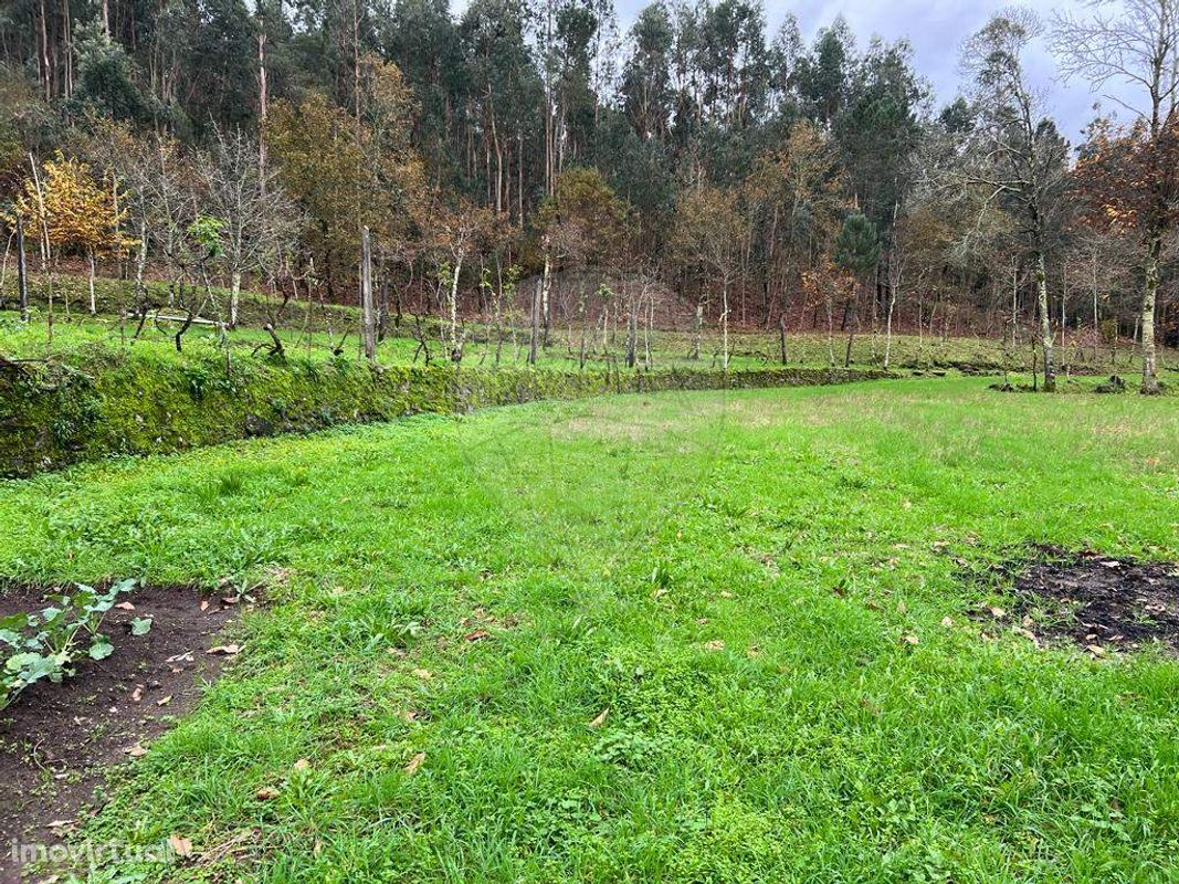 Terreno  para venda