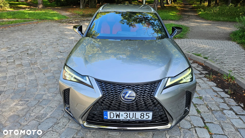 Lexus UX - 16