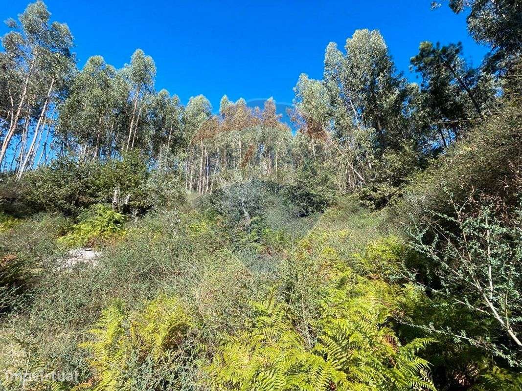 Terreno  para venda - Grande imagem: 5/8