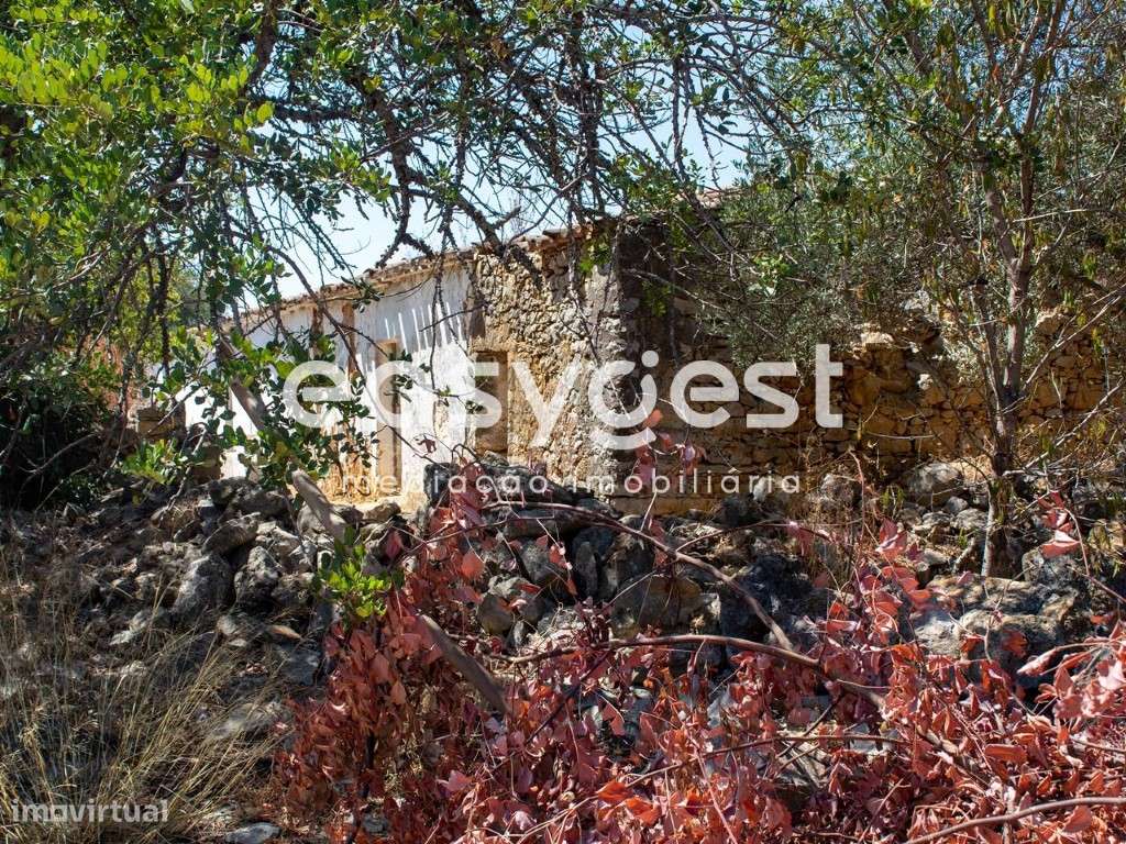 Terreno misto com ruina localizado em sitio do Pereiro-Moncarapacho - Grande imagem: 2/17