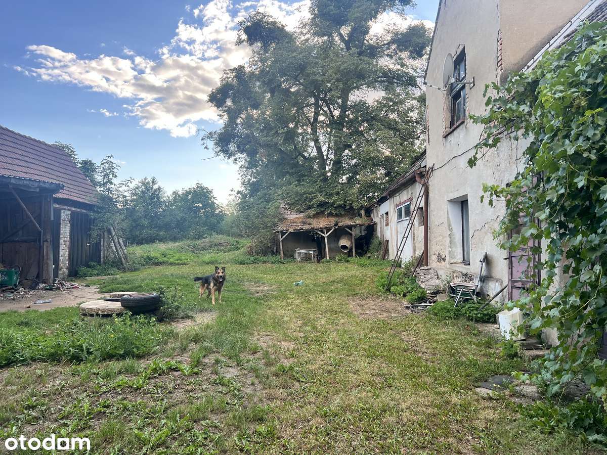 Sprzedam działkę z zabudowaniami - Pełny obrazek: 4/11