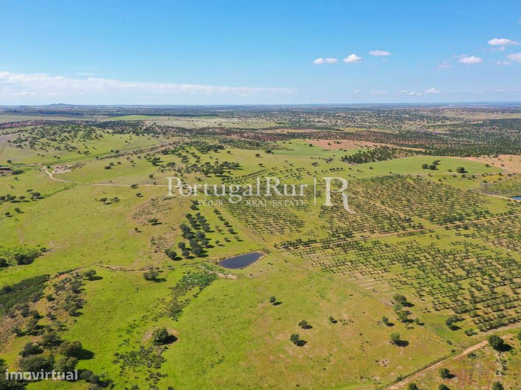 Herdades de Caça com 1300 Hectares, junto do rio Guadiana-10