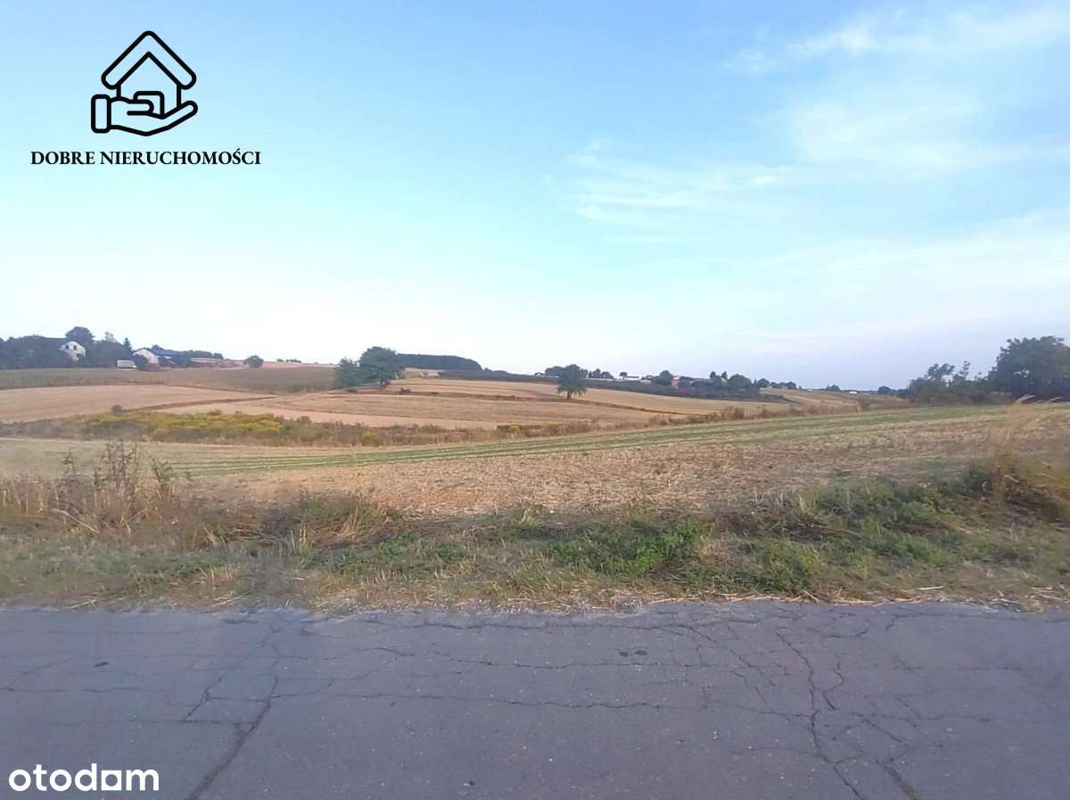 Wz - duża działka przed Nałęczowem - Pełny obrazek: 5/6