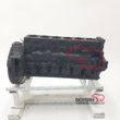 Motor MAN TGL | short block (D0836LFL53) - 1