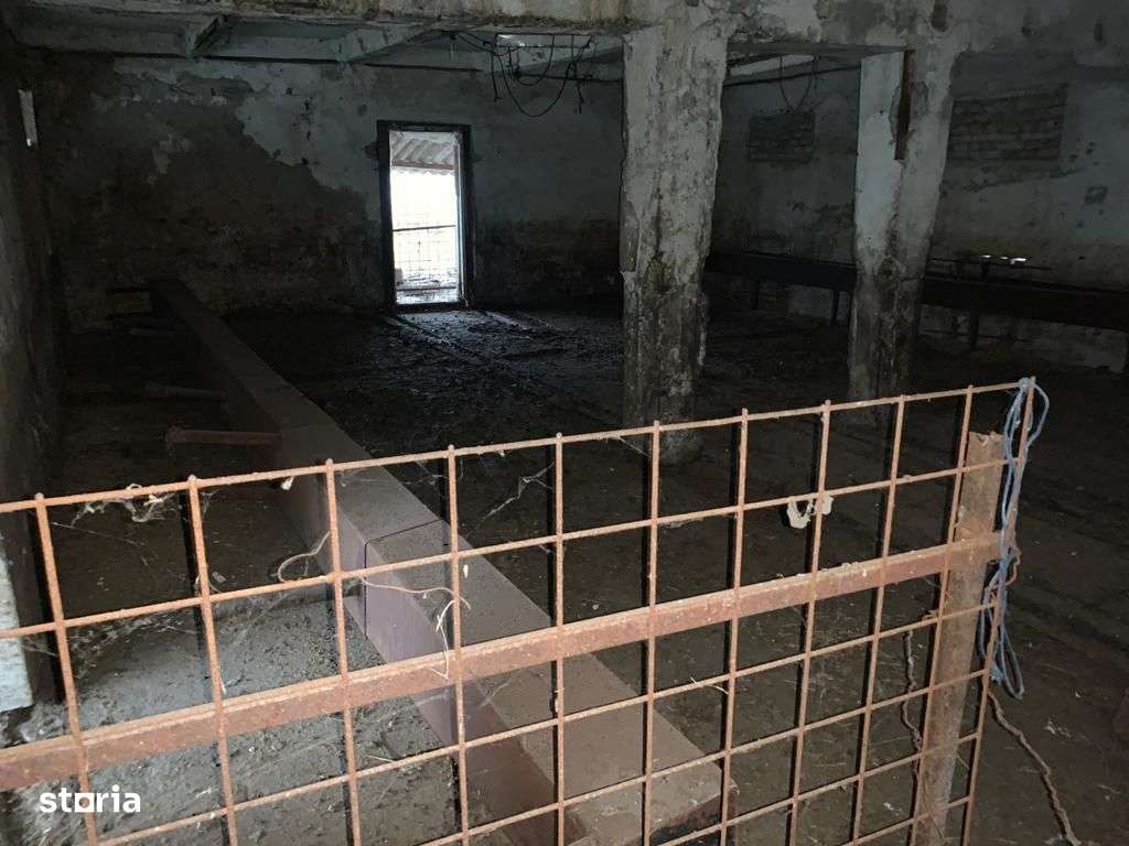 Casa cu teren 8300 mp-7