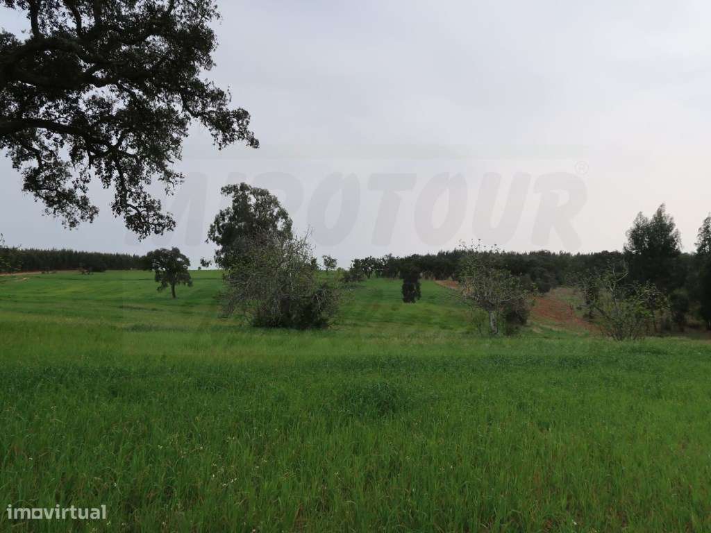 Quinta em excelente localização-8