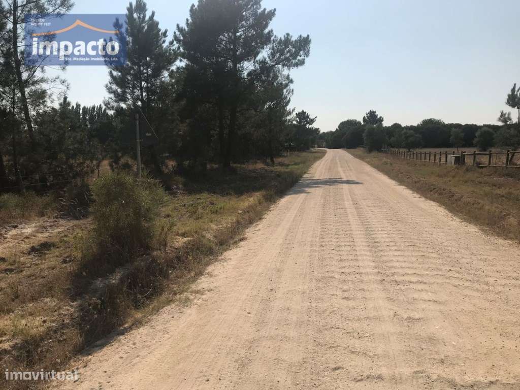 Terreno na Herdade do Zambujeiro - Grande imagem: 4/10