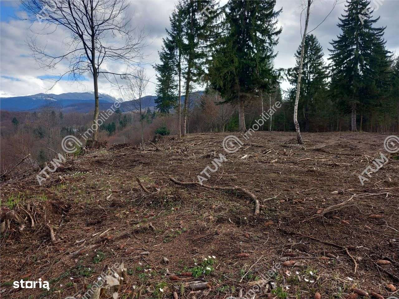 Teren intravilan 2000 mp de vanzare pe Valea Avrigului loc Avrig - Imagine principală: 5/6
