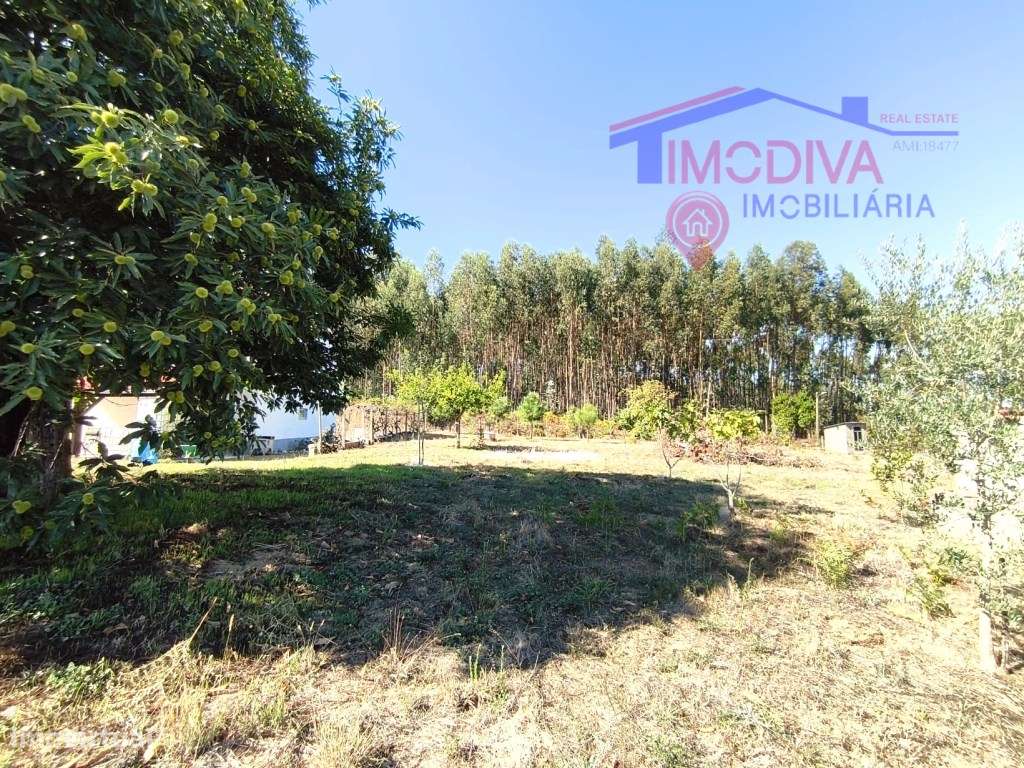 Moradia T3 com garagem e Terreno com 1850 m2 em Arega, Figueiró dos...-57