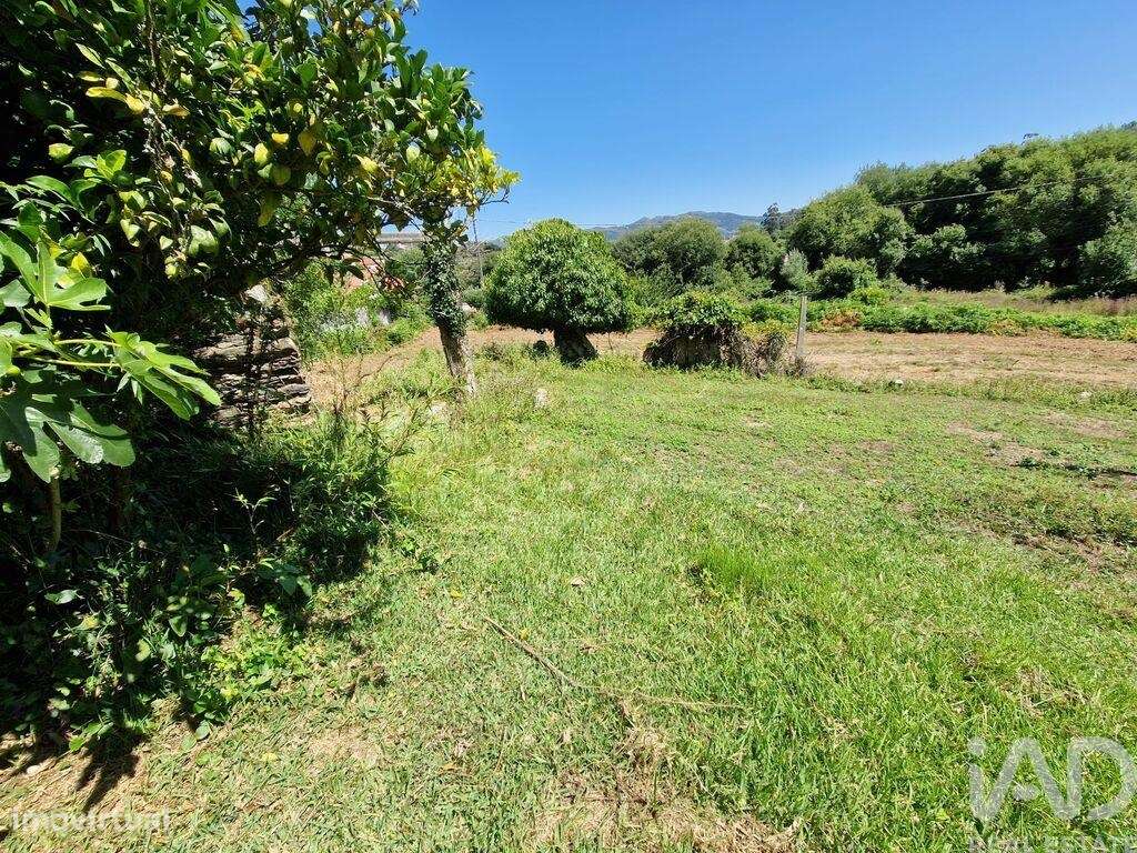 Terreno Agrícola em Torre E Vila Mou de 917,00 m2 - Grande imagem: 2/30