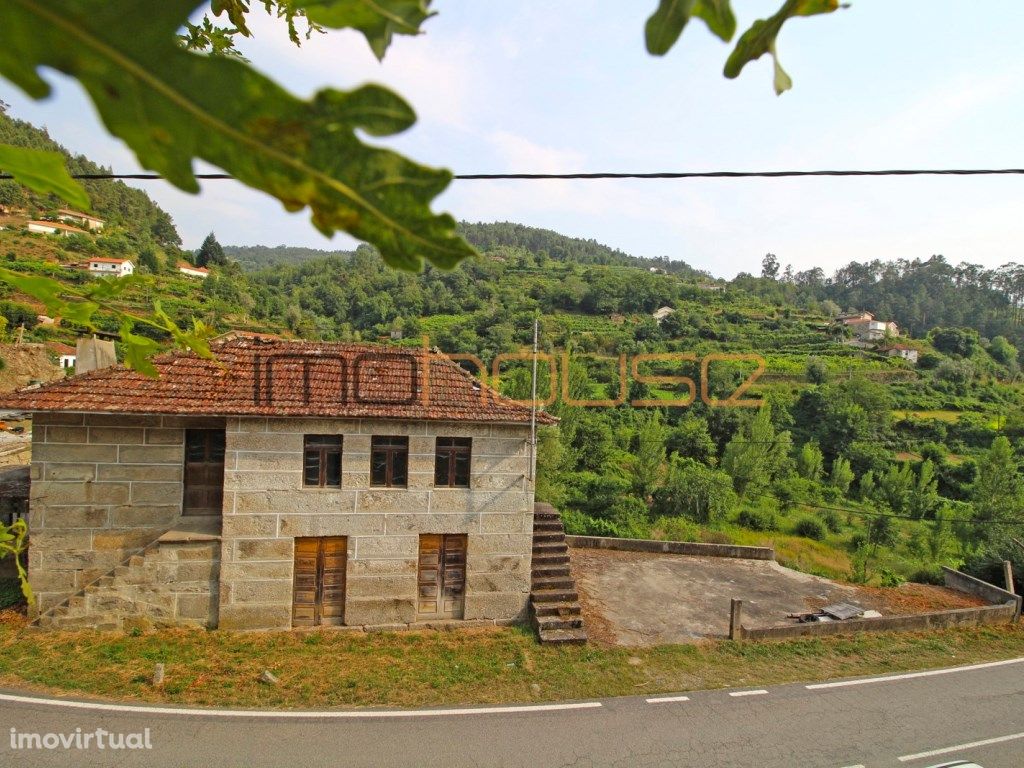 Quintinha com casa e terreno de cultivo - Cinfães