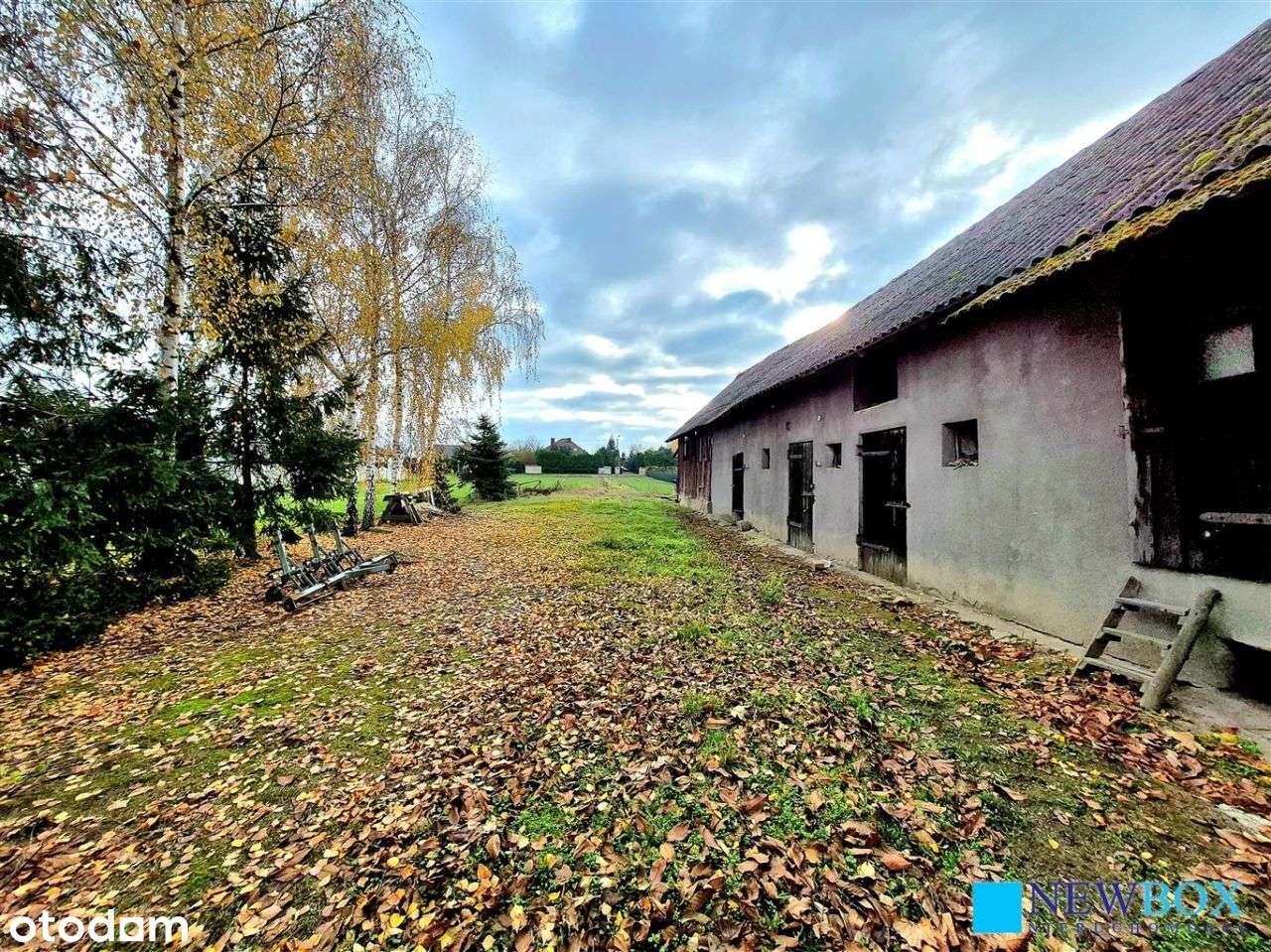 Dom do remontu, możliwość podziału działki na dwie - Pełny obrazek: 5/12