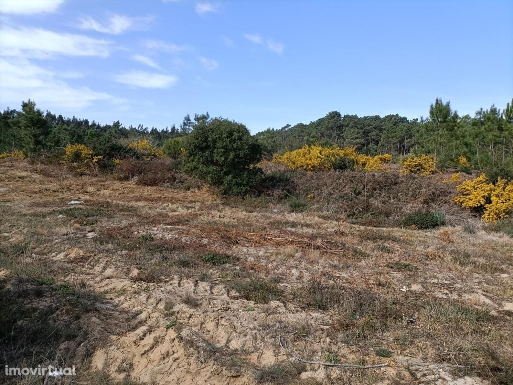 Terreno Serra do Bouro-Caldas da Rainha