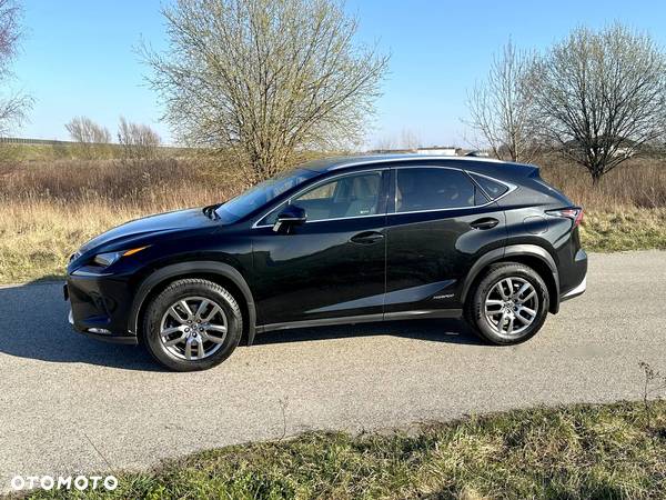 Lexus NX - 2