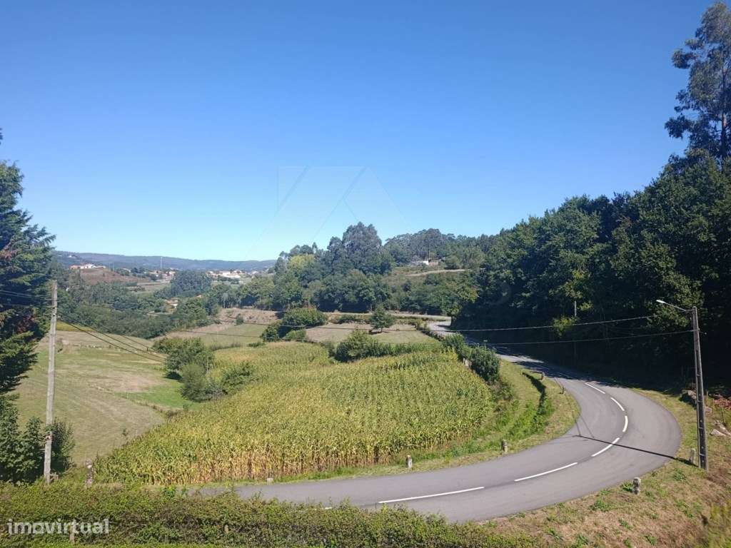 Moradia com terreno envolvente, espaços amplos e excelente potencial-49