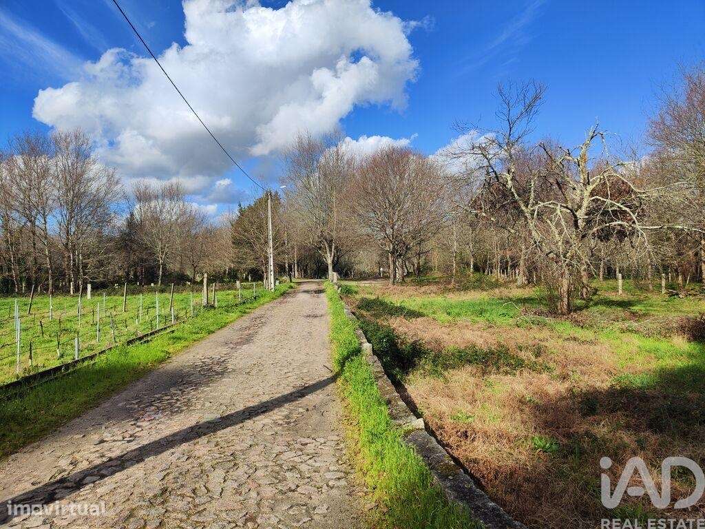 Terreno em Friestas de 40,00 m2 - Grande imagem: 4/13