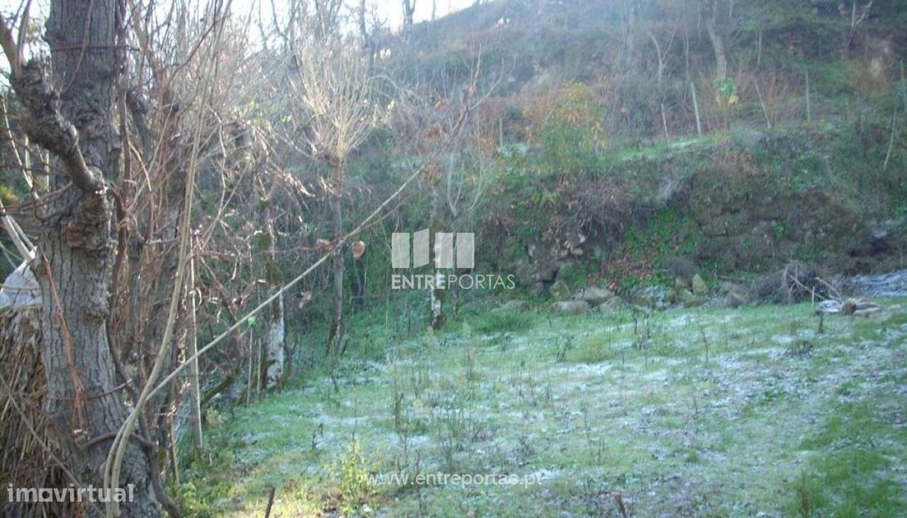 Venda Terreno, Soalhães, Marco de Canaveses - Grande imagem: 3/6