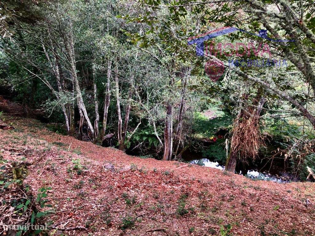 Terreno com 1800 m2 a confinar com ribeira - Grande imagem: 4/15