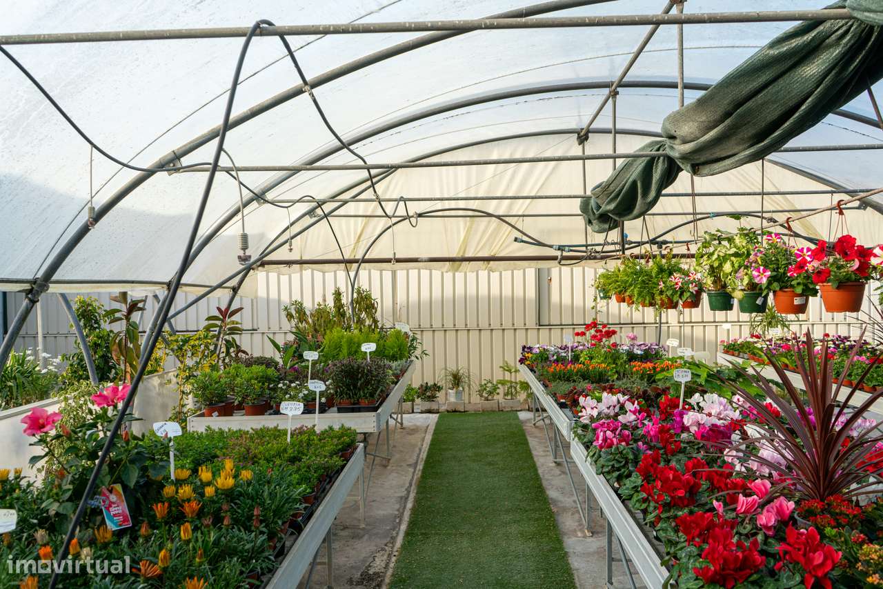 Trespasse de Centro de Jardinagem – Negócio Completo e Equipado - Beja-7