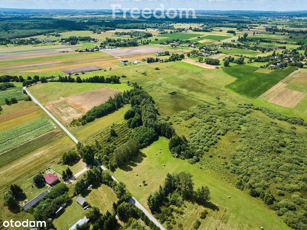 Działka w Żalinie, warunki zabudowy. - Pełny obrazek: 5/11